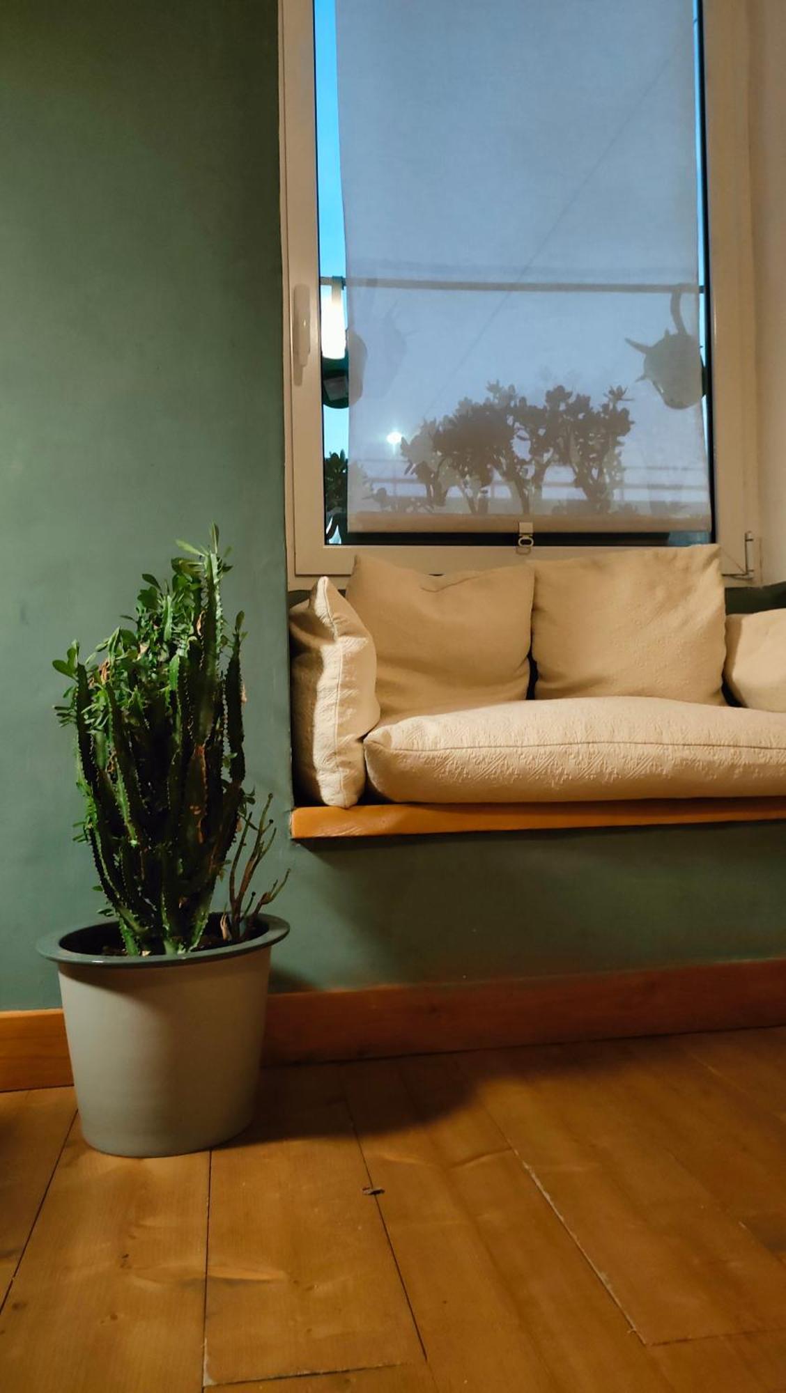 Porta Dei Vacca Casa Di Pre' Citra 23 23 Appartement Genua Buitenkant foto